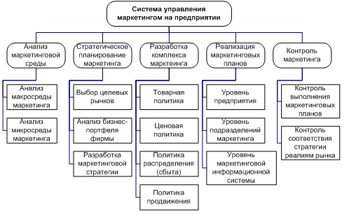 Курсовая работа по теме Разработка направлений совершенствования маркетинговой деятельности фирмы